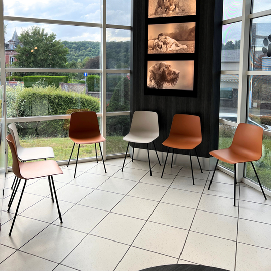 Aménagement coloré et accueillant de la salle d’attente pour la clinique vétérinaire ClinicVet